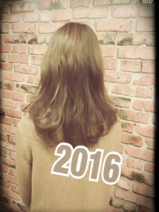 2016.PERK.